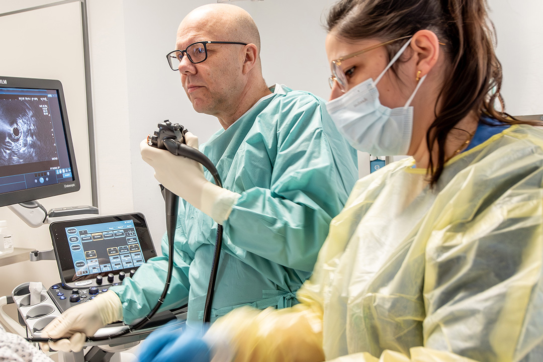 in der Gastroenterologie